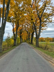 cdb0dd53-df00-4c59-a625-072104f17c29