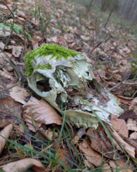 3cea8d4e-54fb-450e-aaaa-fd328925cdf8