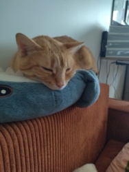 edbc1f35-8d3f-4ea0-9788-ae17246c8ca8