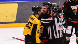 Jest terminarz TAURON Hokej Ligi na nowy sezon