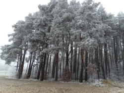 e9571872-e716-4bf5-bccc-cf72cbe7c2a2