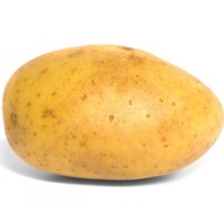 138718c0-a284-4caf-b1e3-0d33a457aec7