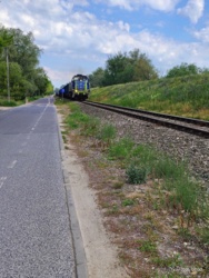 6842e228-4f70-4757-9b10-8171fae7179a