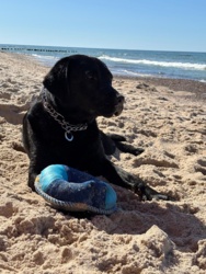 bd73f6dd-2a38-4adf-bd51-2911635c60d5