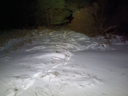 bb9dbfe1-089c-4a5d-ad47-d07462c92350