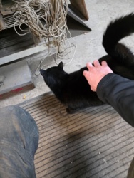 061d4b47-1344-48bc-a6b0-309937c5dde5