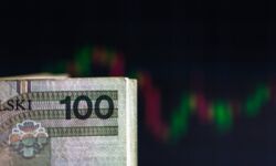 Biomed Lublin miał w III kw. 0,6 mln zł straty netto; liczy w IV kw. na poprawę wyników rdr