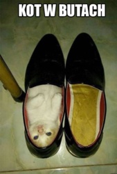 8e528862-668e-4ca6-b26c-0db0bfe5a6ee