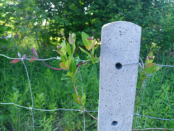 9ab61e03-0c3d-4033-9b4a-aaa14f834a67