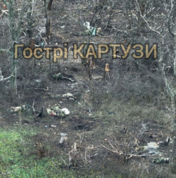 868696fb-1ae1-49fb-80c4-4935e25a5dda