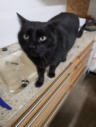 d90a23f7-2bdc-47a8-9815-23bcc43637fd