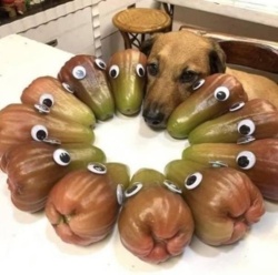 6b83082f-c5e1-477f-ab76-2c353fc7d950