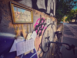 fe4a4936-264f-495a-8a39-aaeeea7b9af3