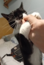 bb4e3a80-9e9a-4a0a-97c3-5fd6198758f0