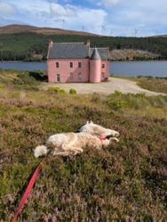 eed90d93-4ceb-43b7-9d25-f859ba2dca38