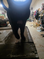 07840a62-c233-43ac-b245-621b4456ce76