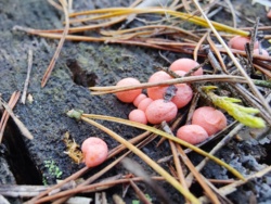 ae051e47-ba16-4cad-bb59-db1988f2aa74