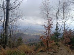 172de5de-6f43-4829-9306-20420dc141d4