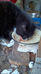 2e8eb08a-7847-4ad7-b263-605a96defe8e