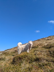 bbbb84b0-1fc0-49bc-85d5-da2f1885ea58