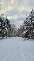 df969fa0-4199-40d7-ad10-e40a13201a94