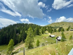 ea48008f-50fe-4fb5-8aa7-c6e476e1cea2