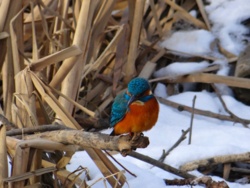 e6b96323-2f02-47bc-8412-cfd55714ebd4