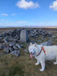 229a3bfc-7dac-4ca8-ae51-d5e3e1008ccf