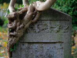 a9fd516a-5b47-4324-a05b-bb035bad9847