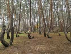 ebf12fb4-5061-41b4-951f-7b901a581dcf