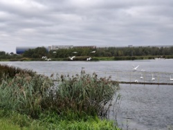 e5f01398-b058-412d-a7c5-6da23bb54733