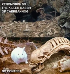 dcc27706-c319-43c0-b2cf-f9737aaf581f