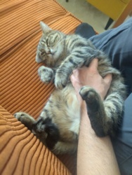 4c1163e8-6357-4396-8188-a9956488d5ee