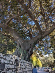 dcdab829-7cf3-46e9-a644-60475d7ba9cb