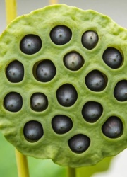 60089afb-3af0-4893-9517-55e852b27d53