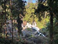 65752f82-6f1c-445a-a4cf-3ac63446e12b