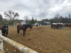 e86fb71e-4f59-437c-9b0a-a4feb91166c0