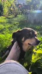 26aafc30-bad7-46a8-8b33-5dce7a5e3d60