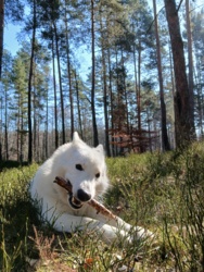 9a1190e0-822b-47cd-9bae-058a615d053c