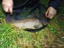 67a285fb-4cab-4ecb-8736-d0515036bbea