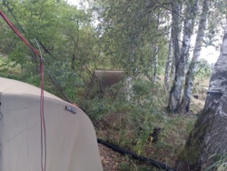 3290d6f6-2e9f-4aac-a80f-a92e83bfc836