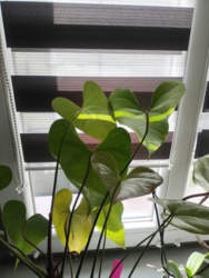 6cc125c4-e12d-49a4-a555-71122ad5bc24