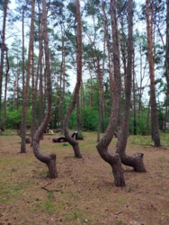 349db84f-58dc-48d0-8fd7-1cfe6665dd91