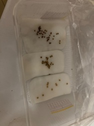 e92268a5-e62e-4c15-9575-d7c7dcb29322