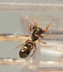 fbba1ede-c1bb-4a4d-9f29-dbc3fe745789