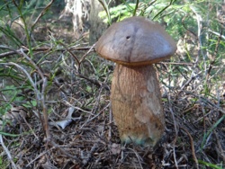 f7e2982b-d894-48de-904d-c25775b52a1c