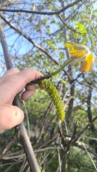 6f1b64af-1a26-4202-9565-fdd4a682b4c5