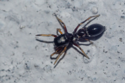 8a912cc9-76bf-4b59-8b50-739c87224f5c