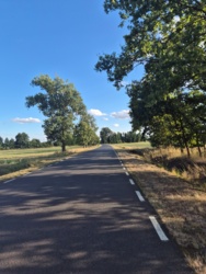 e2a0d0de-6952-4b8c-bbc2-2f74abdf8427