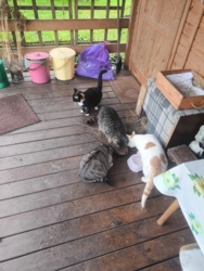 a44fce4a-8ca0-44df-951d-c0eb7926dcf2